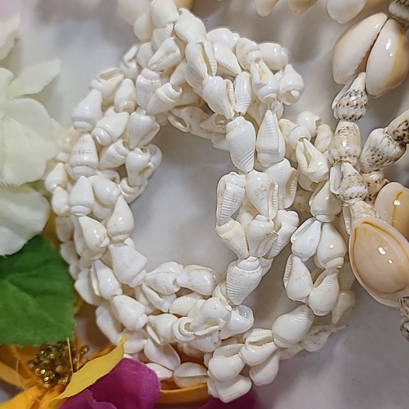 Shell Bundle - Picture 4 of 5